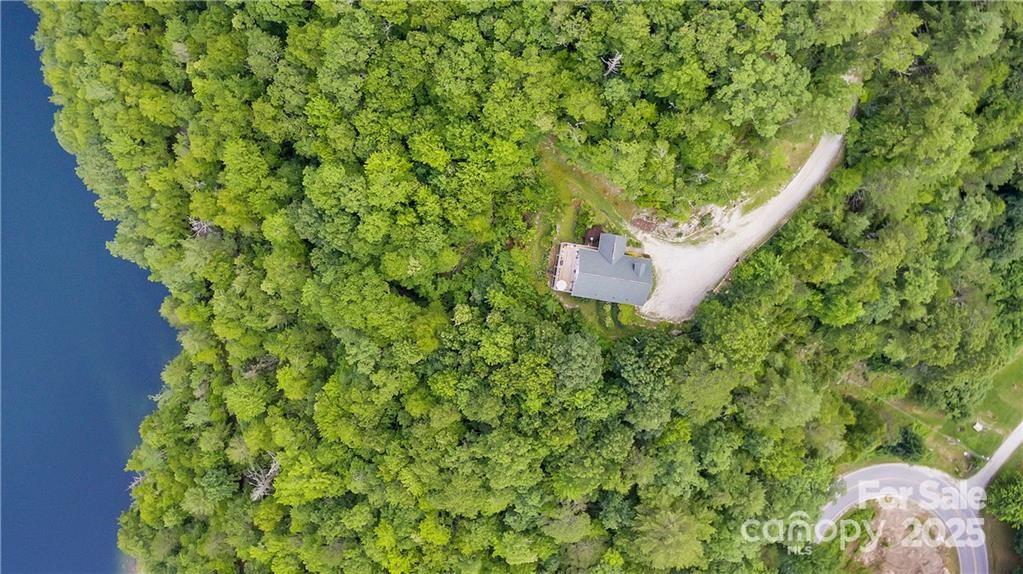 612 Old Home Place Road Tuckasegee, NC 28783 - Photo 6 of 42 a picture of a tree with a yard