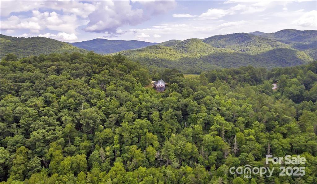 612 Old Home Place Road Tuckasegee, NC 28783 - Photo 7 of 42 a view of a lush green field with mountains in the background