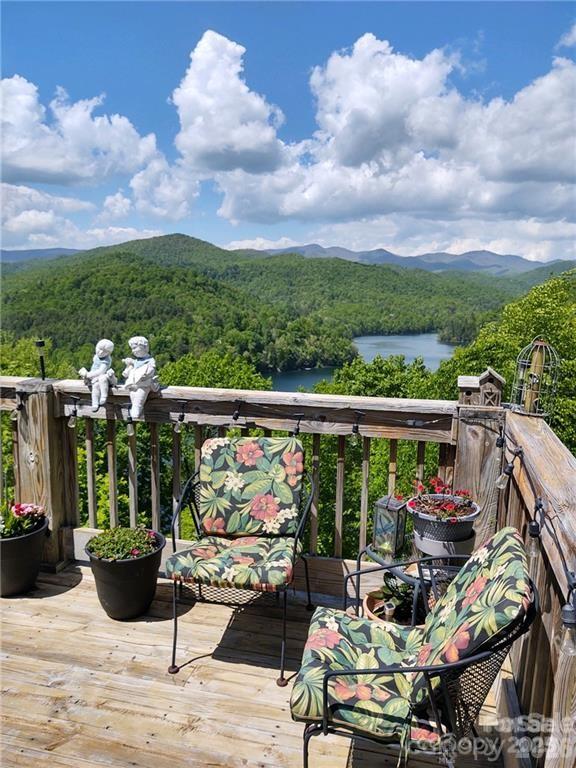 612 Old Home Place Road Tuckasegee, NC 28783 - Photo 9 of 42