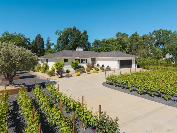 a view of a patio with table and chairs potted plants and large tree