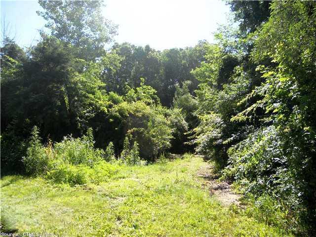 Other. Lightly wooded lot in established neighborhood