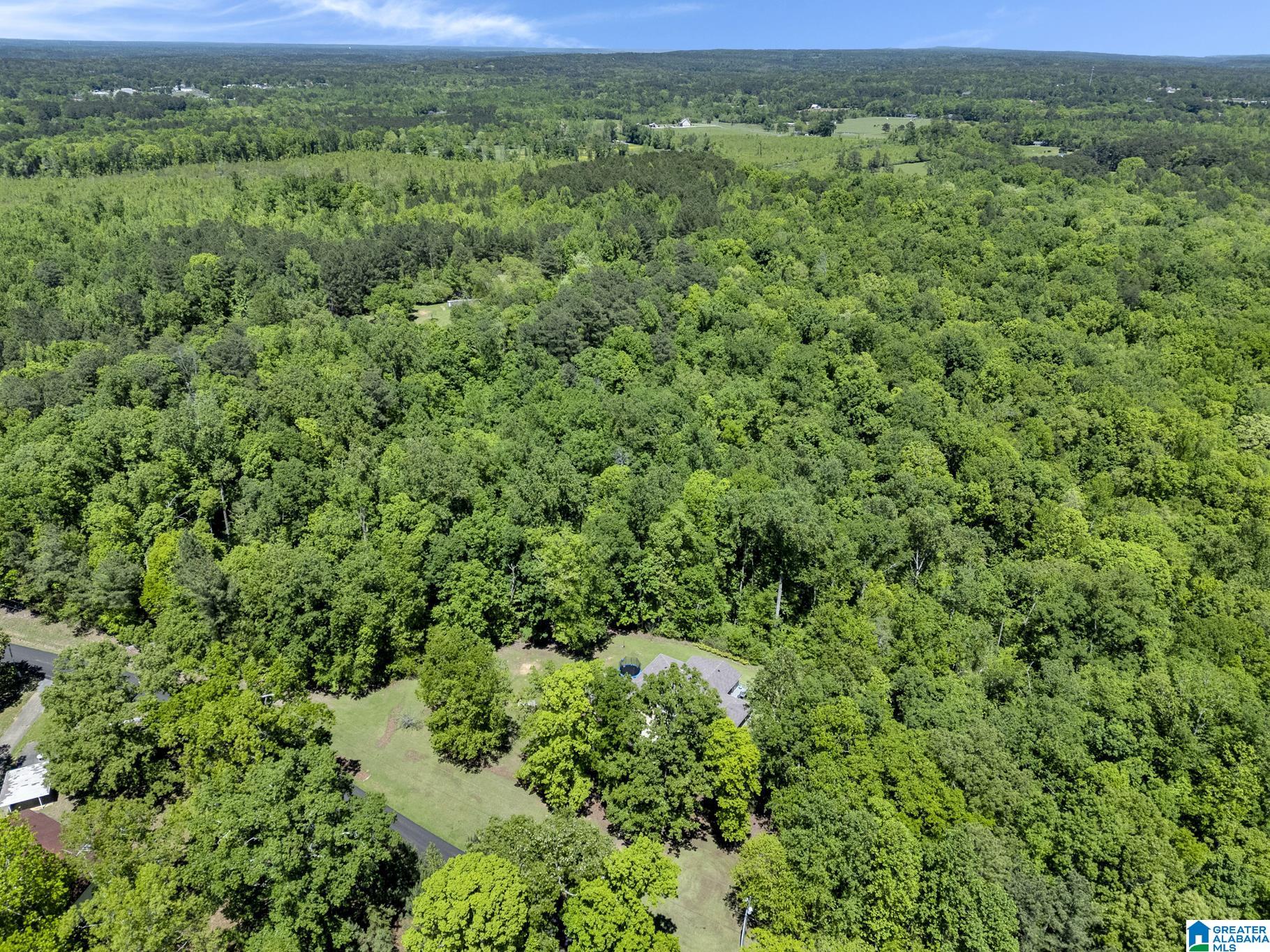 7219 Sellers Road Dora, AL 35062 - Photo 37 of 39