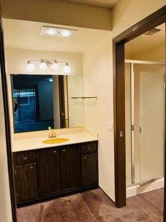 a bathroom with a sink and a mirror