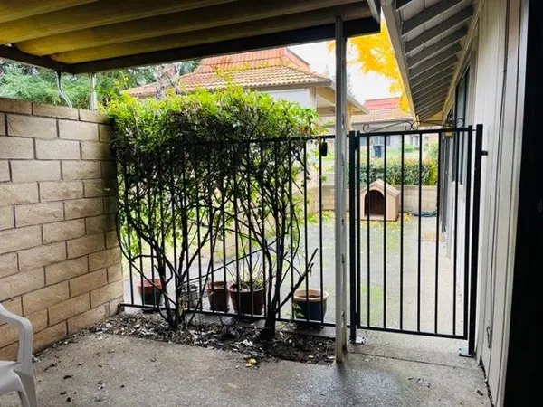 a view of a glass door with a trees in front of it