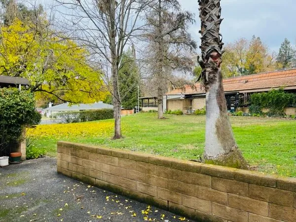 a view of a garden with trees