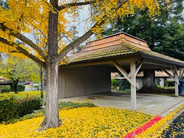 a house with trees in front of it