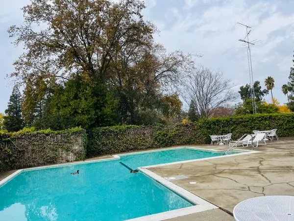 a view of a backyard