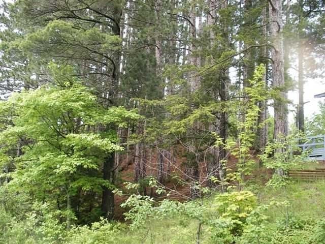 7187 Island Lake Road Hurley, WI 54534 - Photo 19 of 20 Gallery Image 19