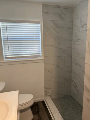 a bathroom with a toilet a sink and a shower