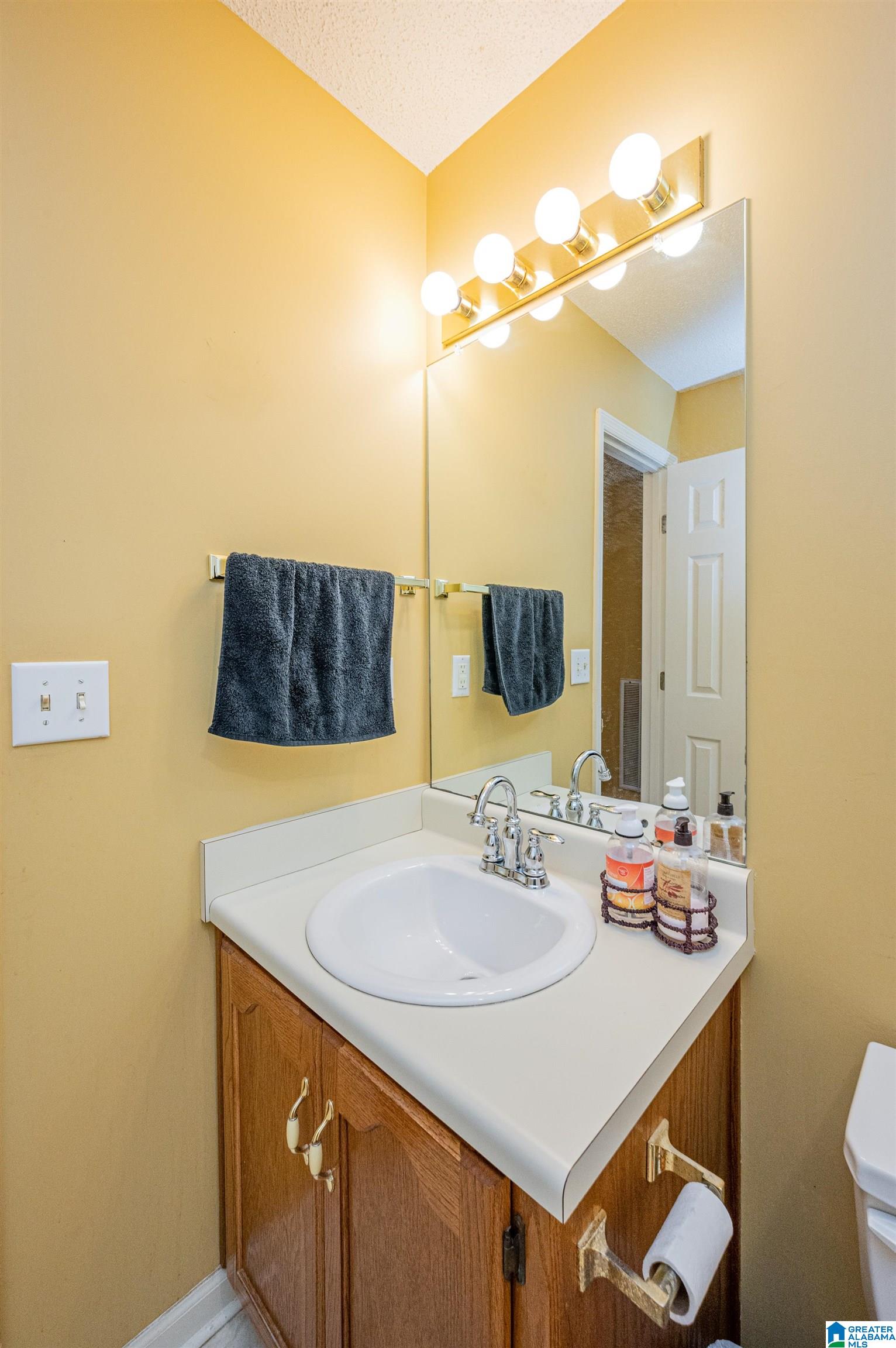 9024 Mosley Manor Circle Morris, AL 35116 - Photo 26 of 35