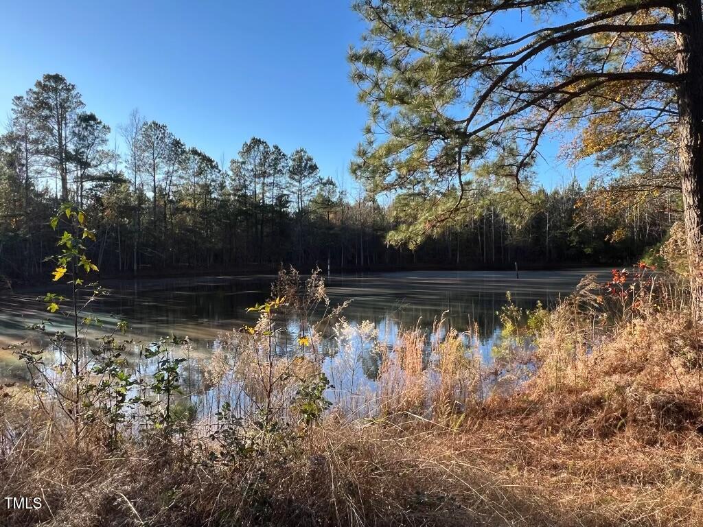 574 Gardner Road Four Oaks, NC 27524 - Photo 5 of 15 The trees on the other side of the pond are also part of the property.
