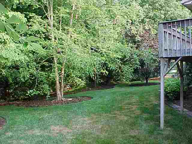 223 Carson Road Easley, SC 29642 - Photo 20 of 22 Gallery Image 20