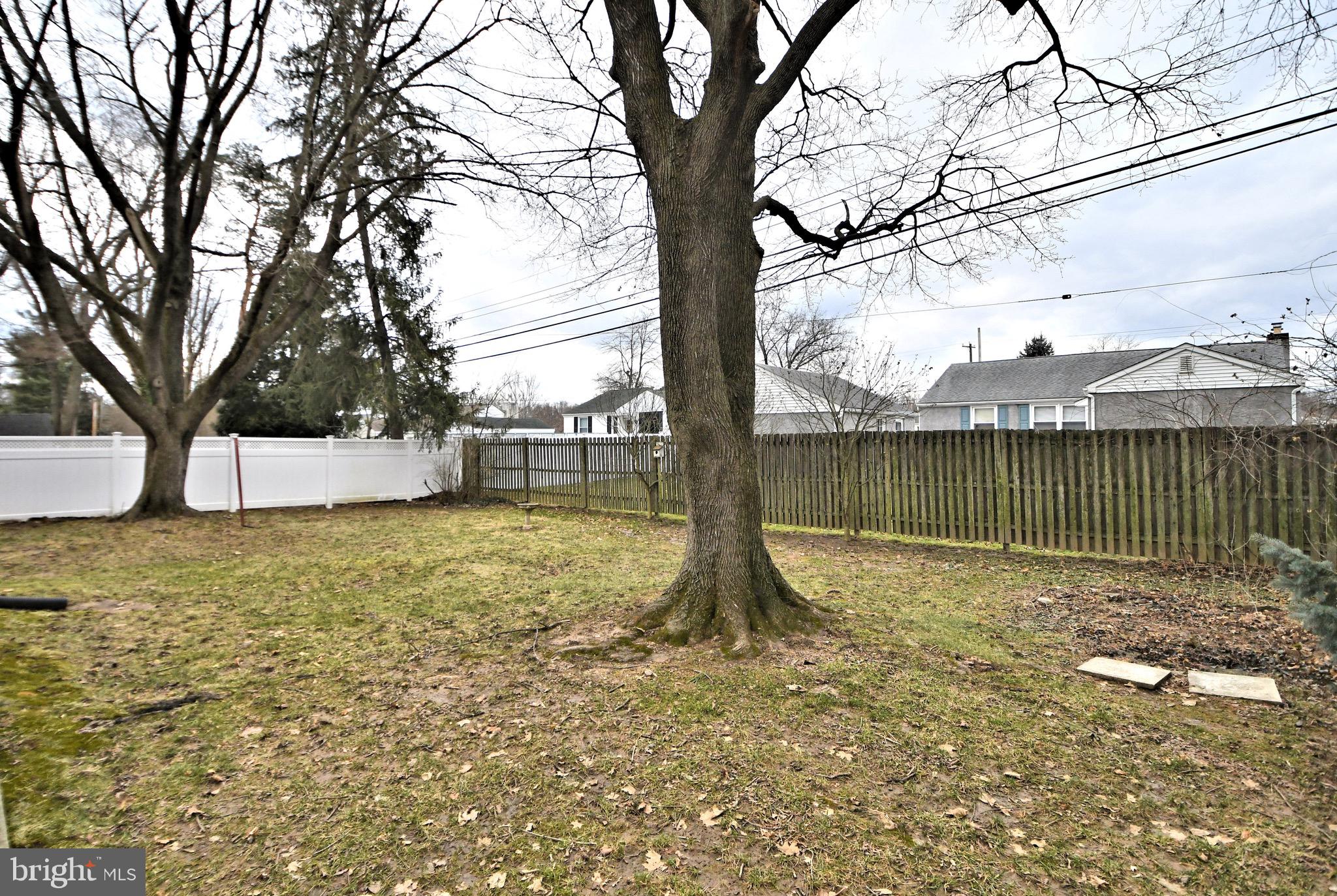 14 Dechert Road Conshohocken, PA 19428 - Photo 51 of 53 Back yard