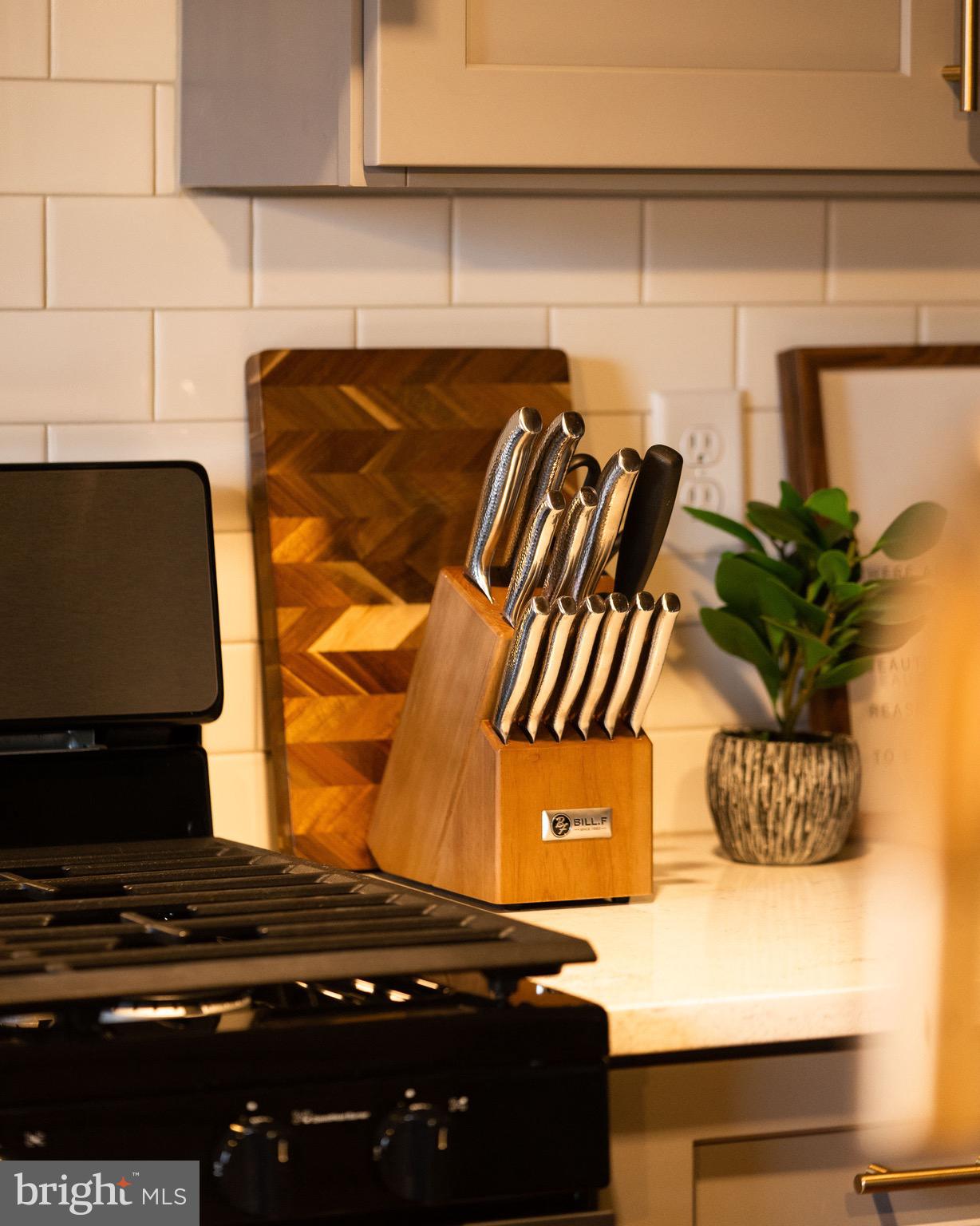 437 West Grant Street, Unit 304 Lancaster, PA 17603 - Photo 13 of 37 a close view of stove