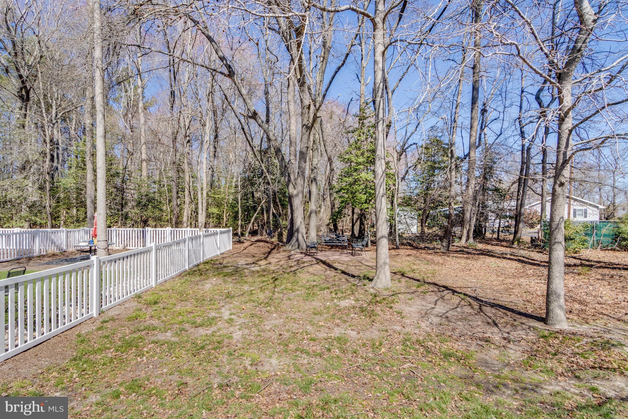 36338 Ridgeshore Lane Millville, DE 19967 - Photo 30 of 56 Large backyard