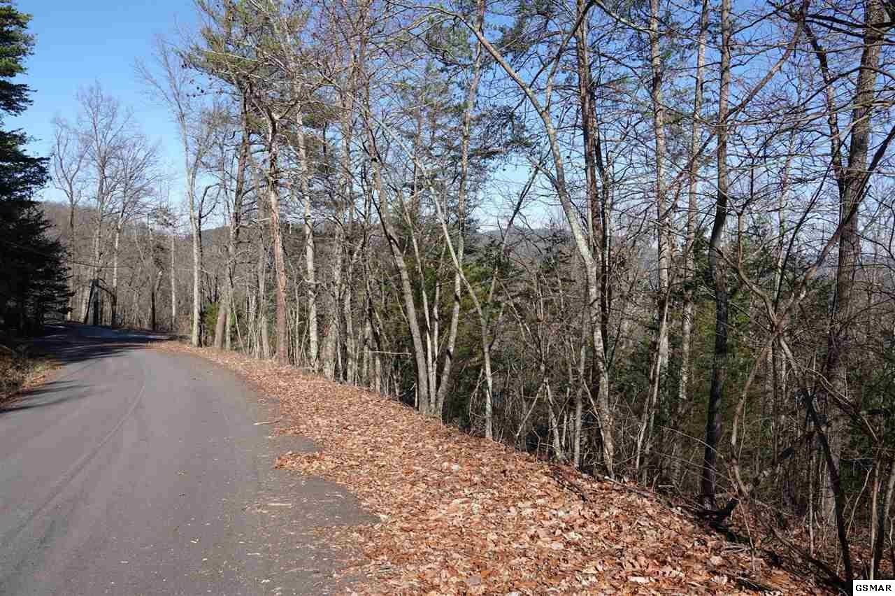 81 82a Shell Mountain Road Sevierville, TN 37876 - Photo 10 of 26