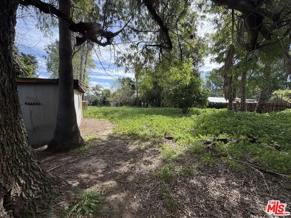 a view of a tree in a yard