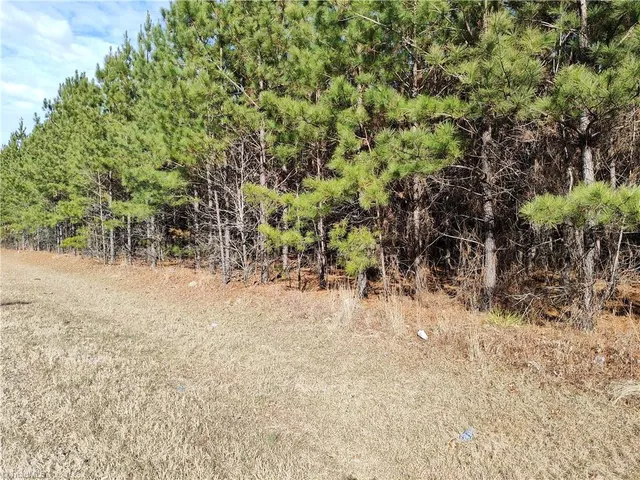 $40,000 | Lot 4 Windblow Road, Jackson Springs, NC 27281