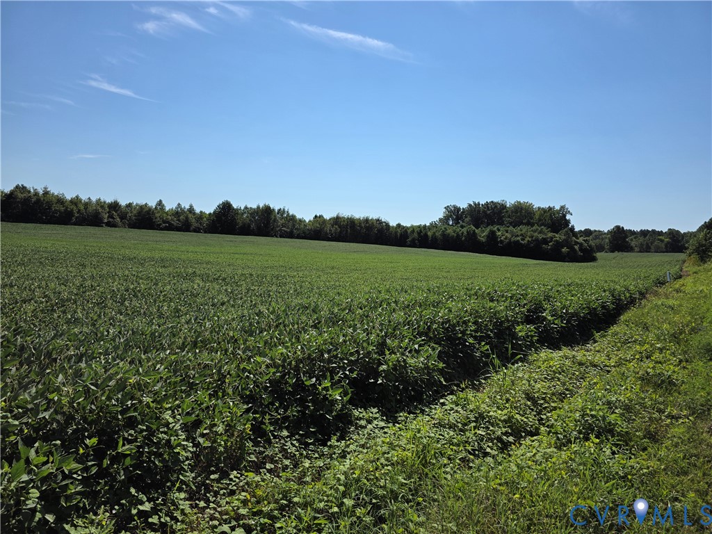View of local wilderness featuring abundant farmla