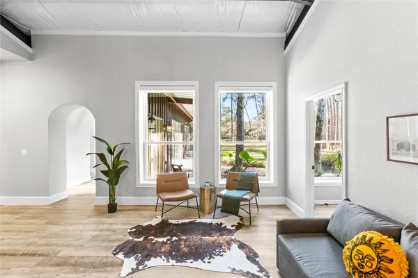 a living room with furniture and a potted plant
