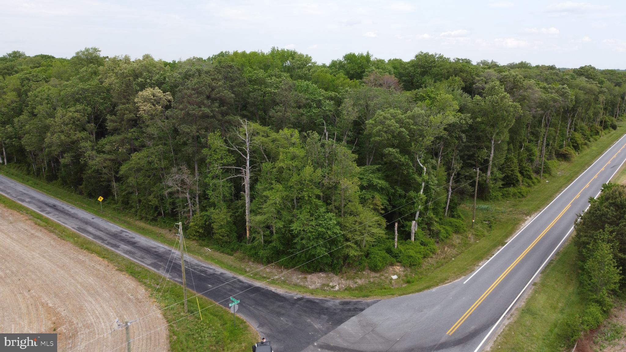 Lot 16 Burnite Mill Road Harrington, DE 19952 - Photo 4 of 8 a view of a garden from a window