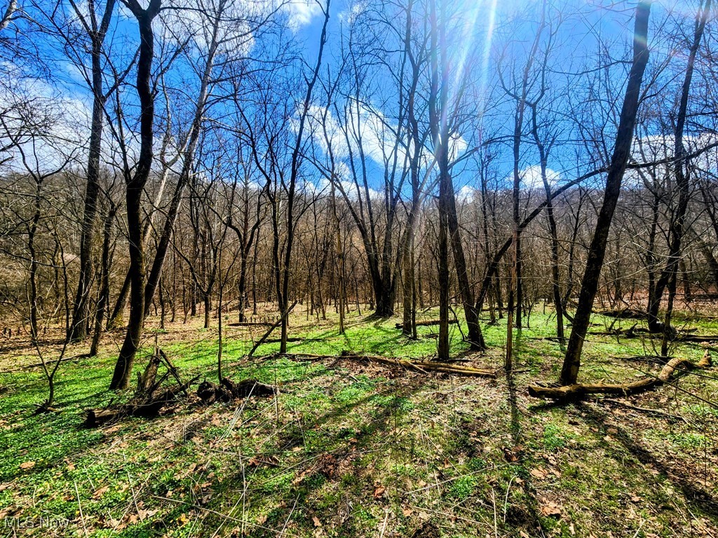 Kings Creek Road New Cumberland, WV 26047 - Photo 5 of 18