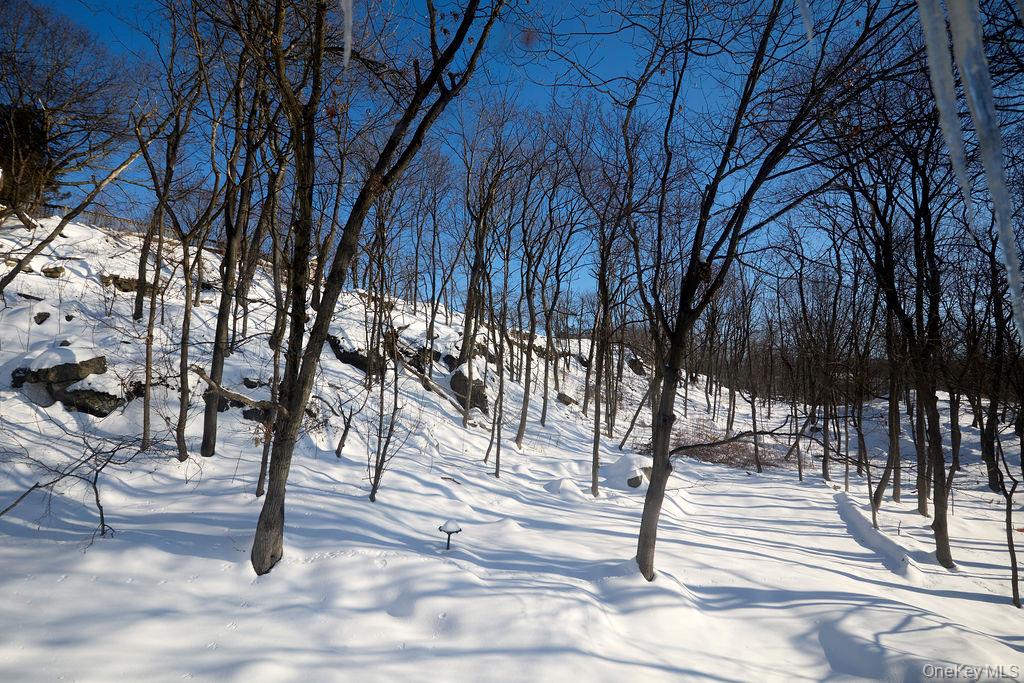 5 Forge Gate Drive, Unit C2 Cold Spring, NY 10516 - Photo 22 of 25 Backyard - view looking out of the bedroom window
