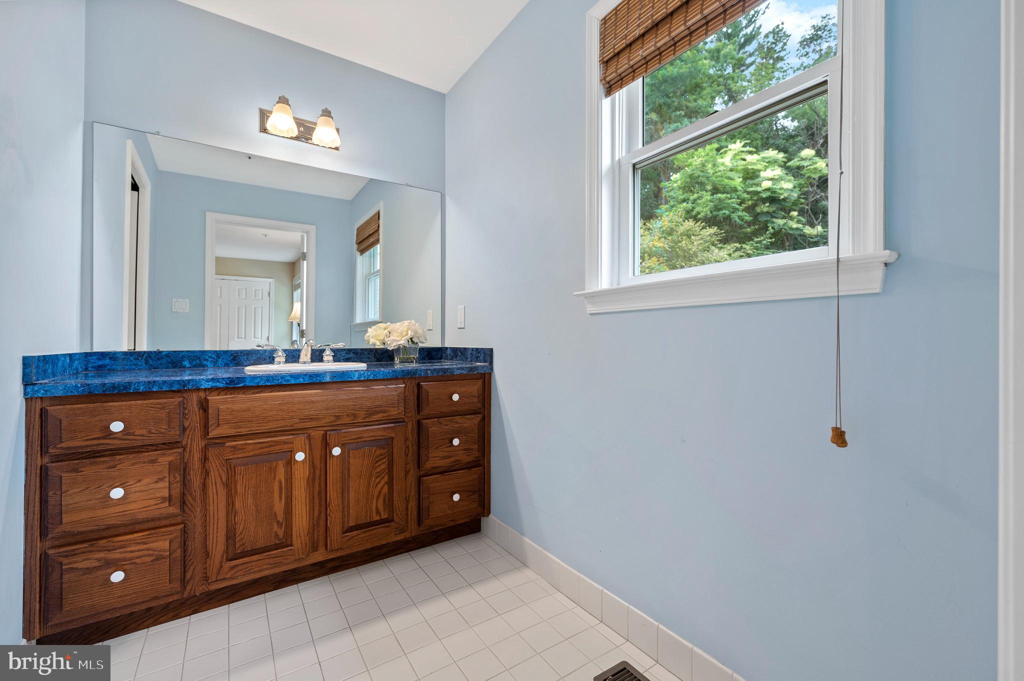 1236 Gulph Creek Drive Wayne, PA 19087 - Photo 40 of 61 En Suite Vanity area Hall Bath