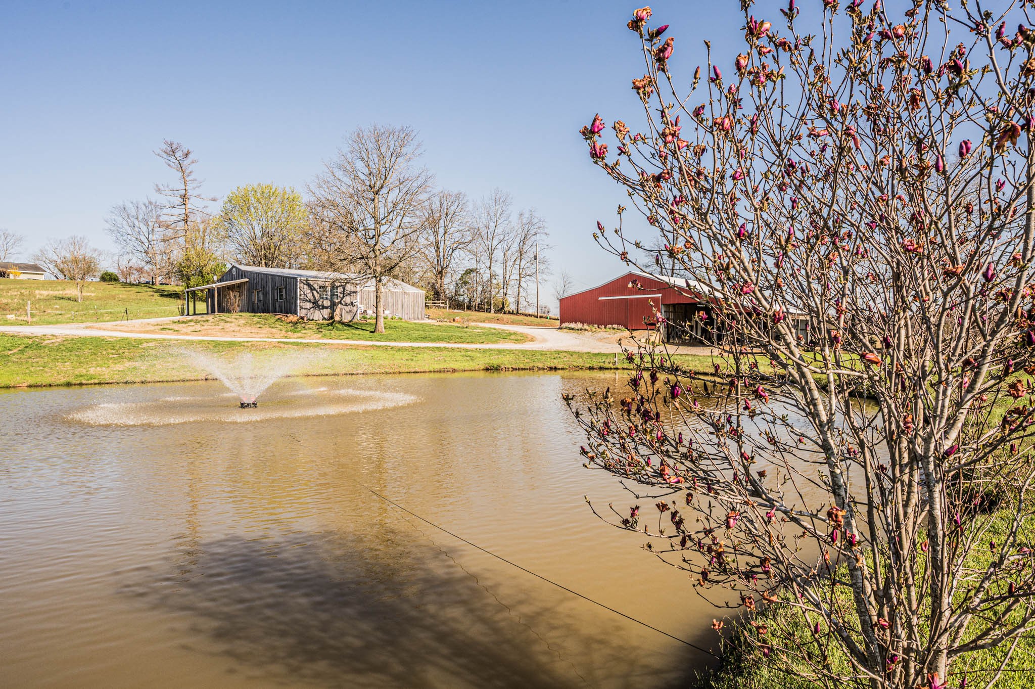 1110 Harris Road Belton, KY 42324 - Photo 28 of 33