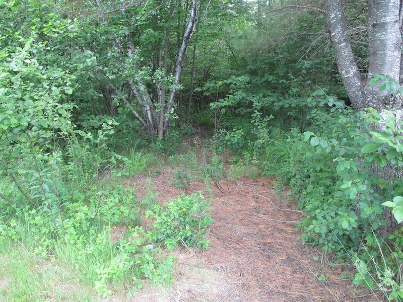 213 Bear Hill Road Hollis Center, ME 04042 - Photo 30 of 32 Photo