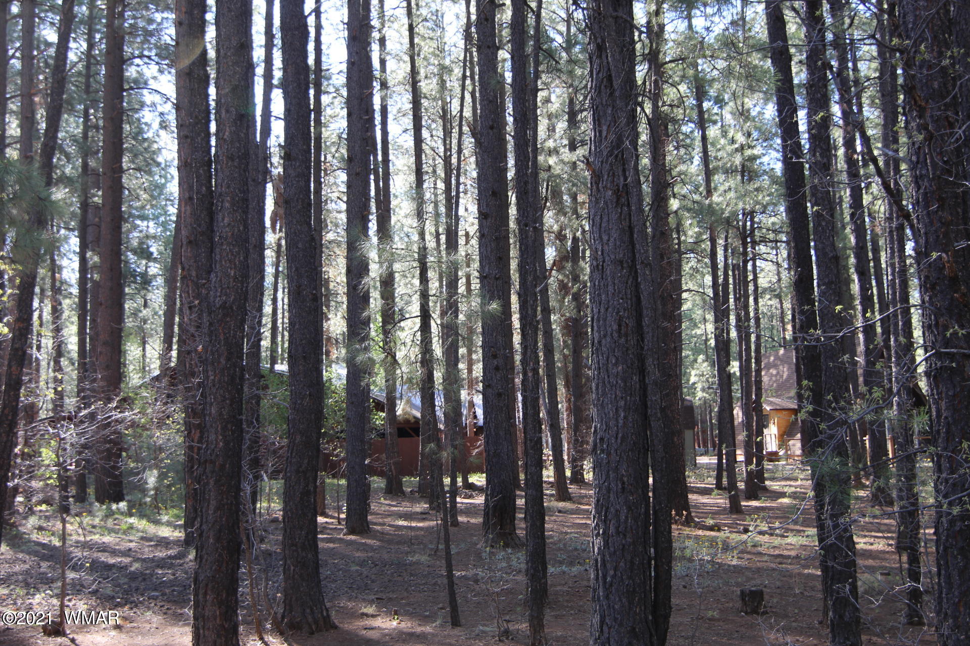 8359 Eagle Point Road Pinetop, AZ 85935 - Photo 1 of 12