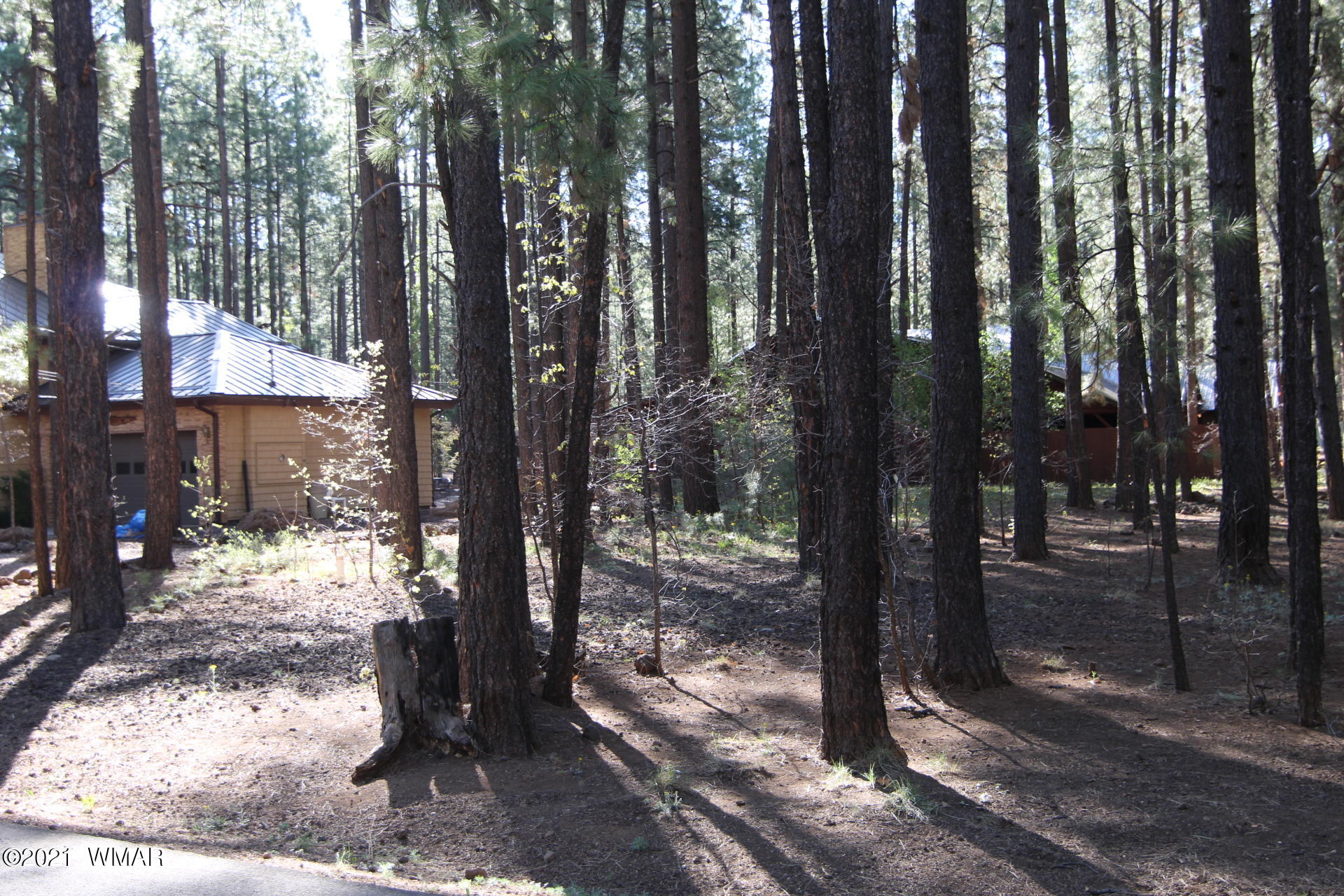 8359 Eagle Point Road Pinetop, AZ 85935 - Photo 11 of 12