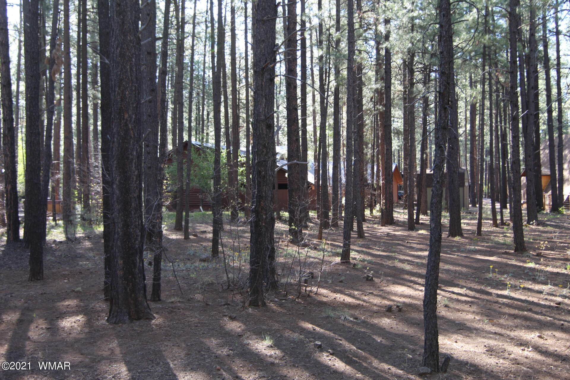 8359 Eagle Point Road Pinetop, AZ 85935 - Photo 12 of 12