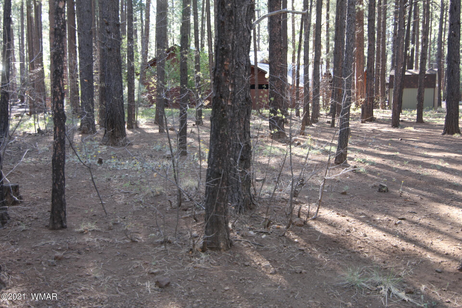 8359 Eagle Point Road Pinetop, AZ 85935 - Photo 2 of 12
