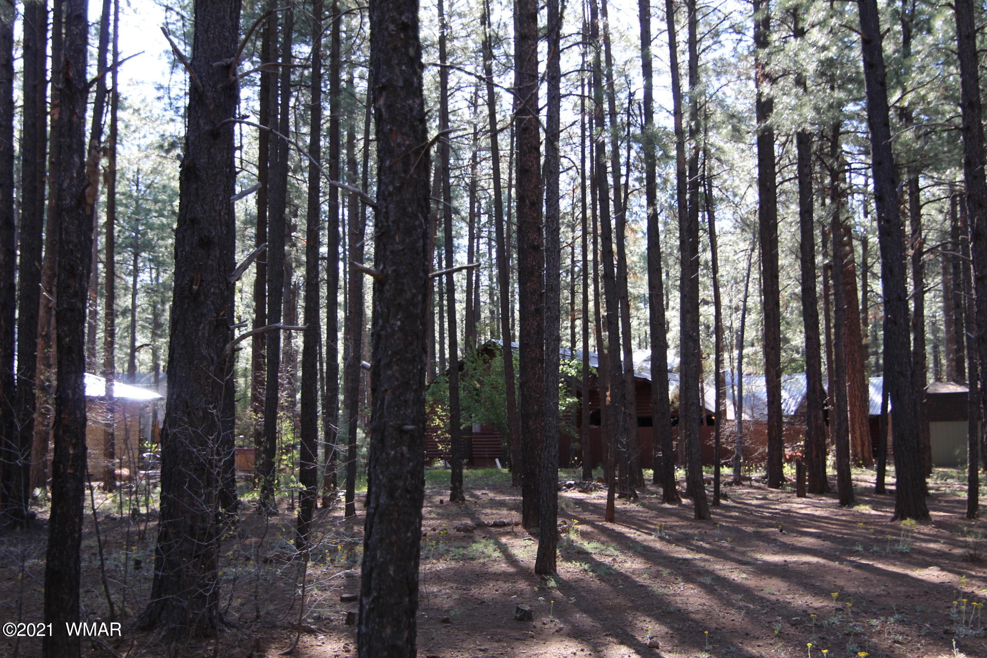 8359 Eagle Point Road Pinetop, AZ 85935 - Photo 3 of 12