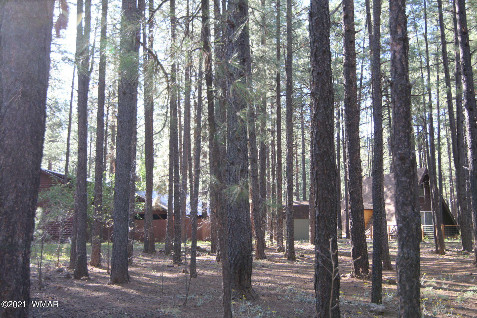 8359 Eagle Point Road Pinetop, AZ 85935 - Photo 5 of 12
