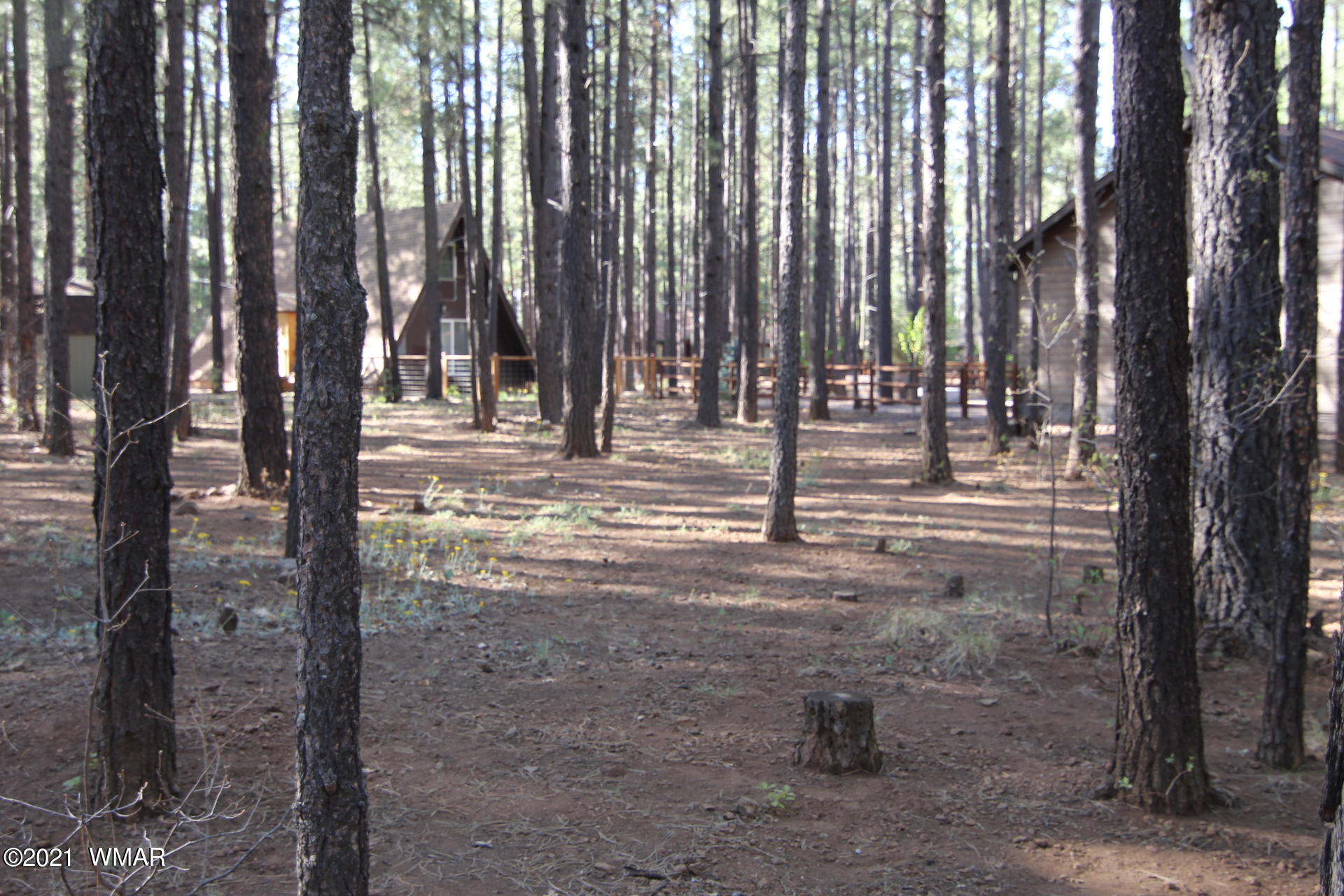 8359 Eagle Point Road Pinetop, AZ 85935 - Photo 6 of 12