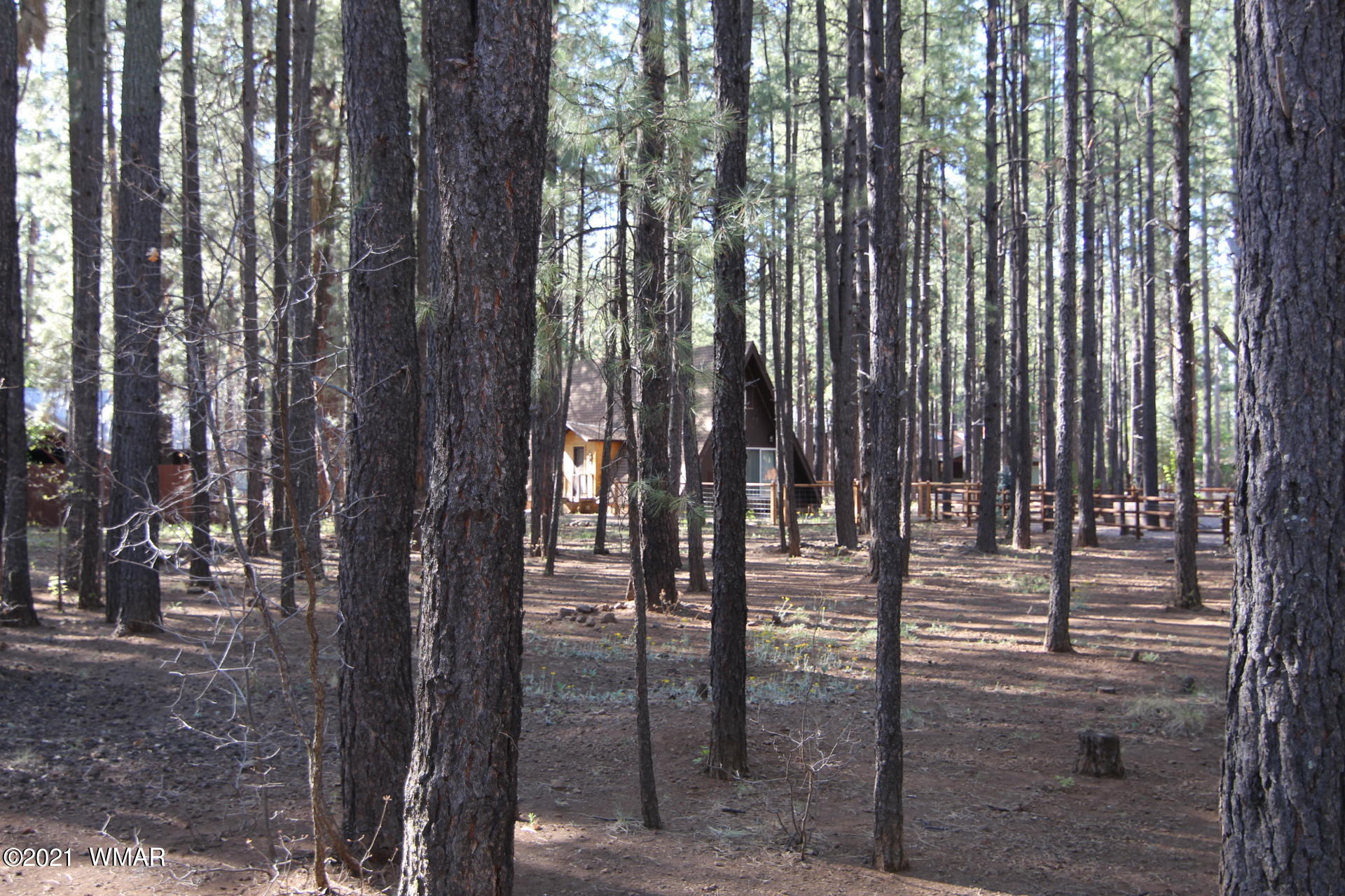 8359 Eagle Point Road Pinetop, AZ 85935 - Photo 7 of 12