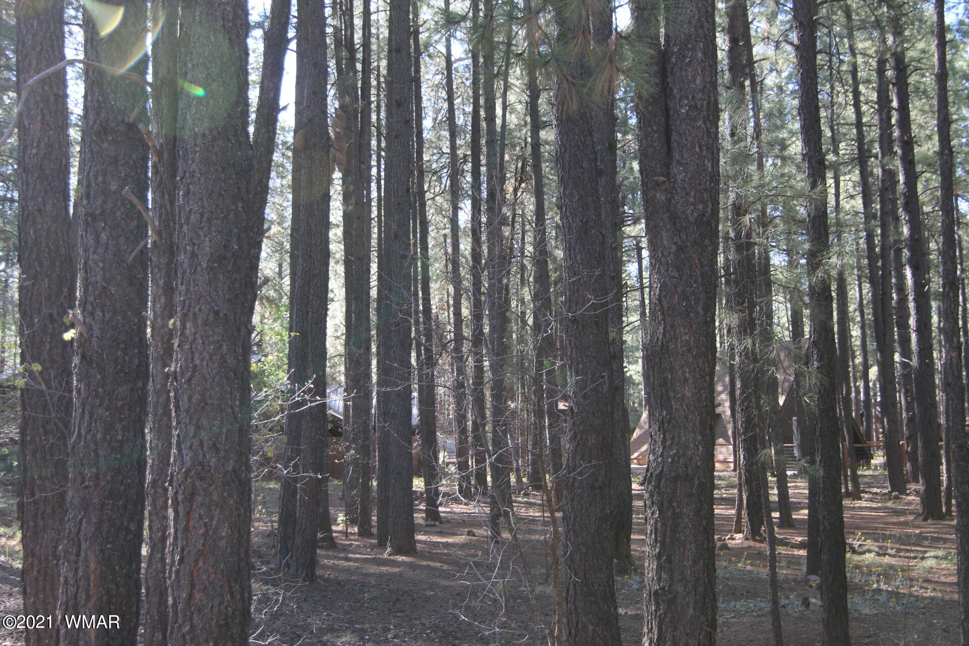 8359 Eagle Point Road Pinetop, AZ 85935 - Photo 8 of 12