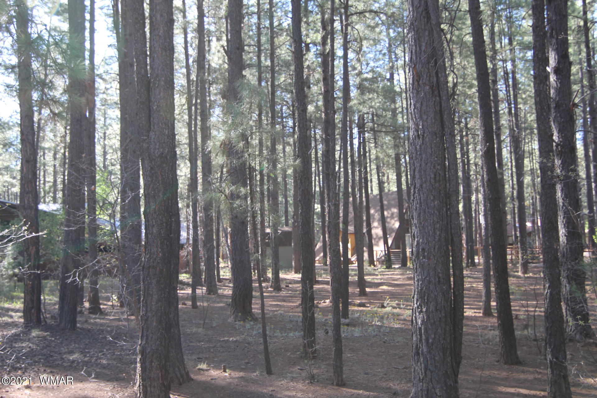 8359 Eagle Point Road Pinetop, AZ 85935 - Photo 9 of 12
