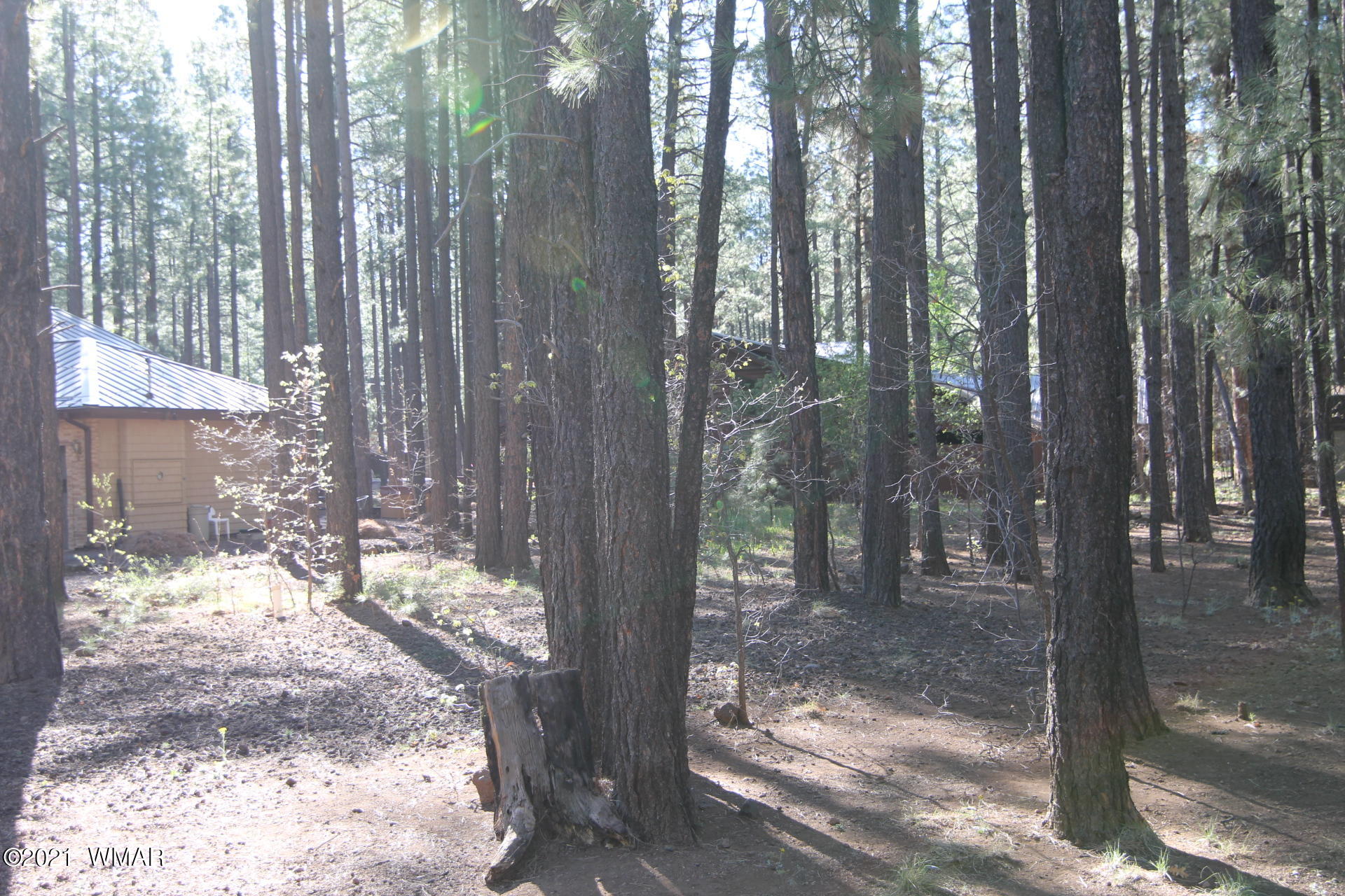 8359 Eagle Point Road Pinetop, AZ 85935 - Photo 10 of 12