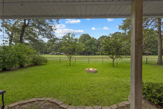 a view of a field with a tree