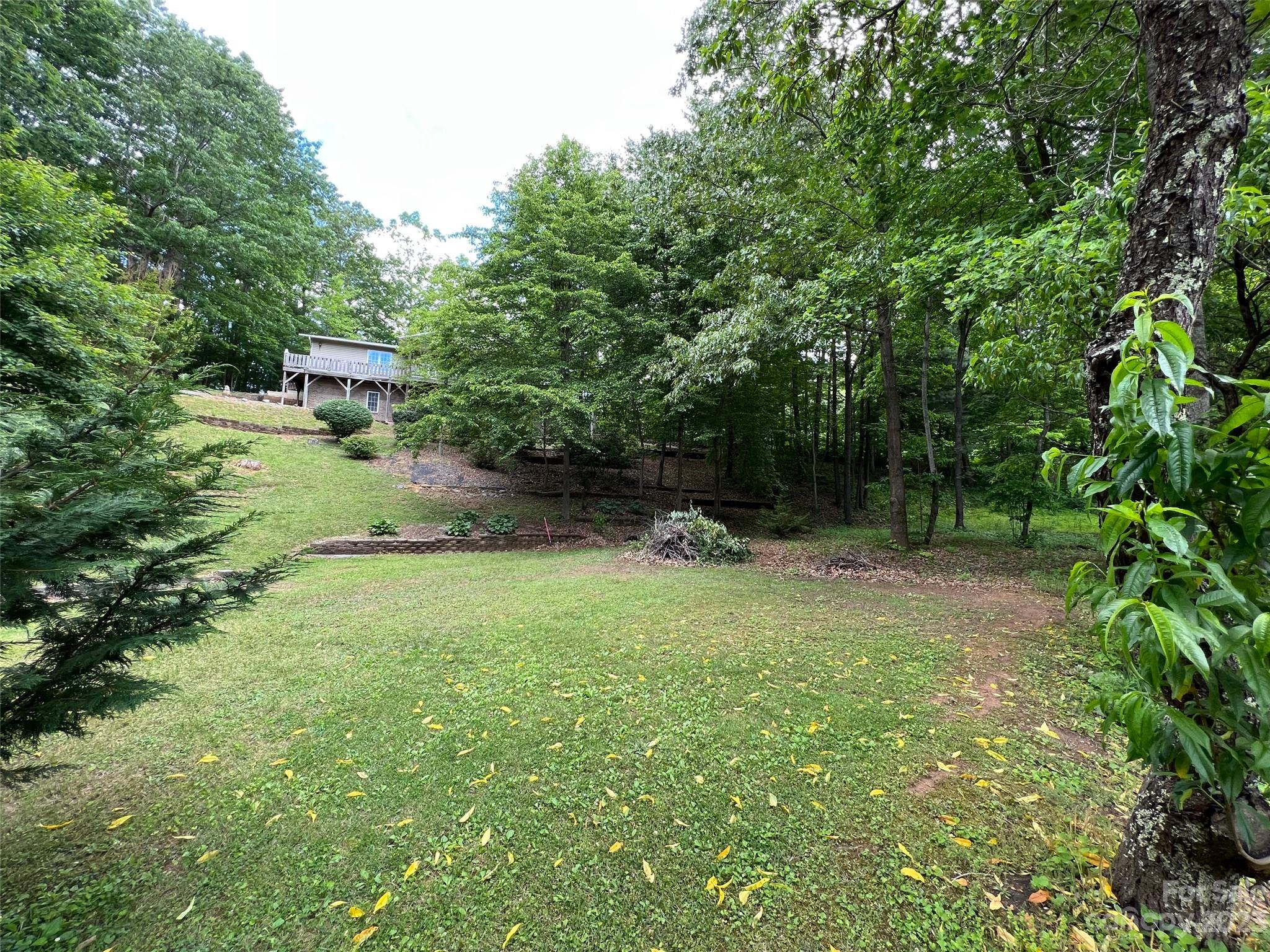 799 Nellie John Drive Clyde, NC 28721 - Photo 35 of 38 a fire hydrant in the middle of a field