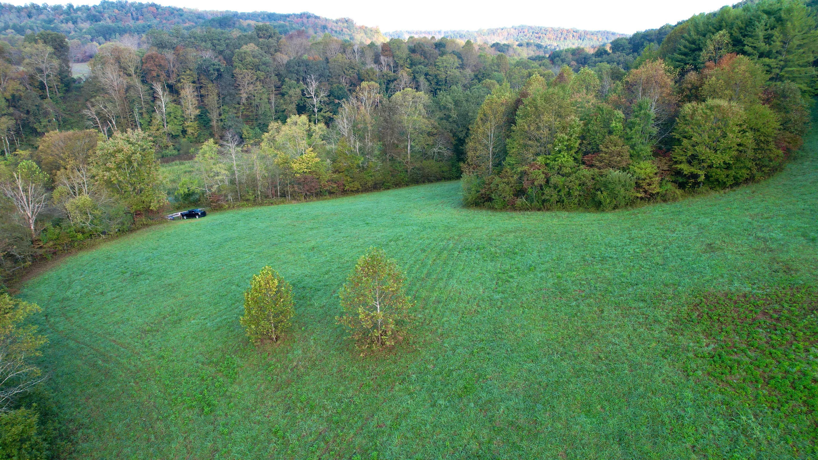 11798 Elbert Shepherd Road London, KY 40741 - Photo 5 of 11 Elbert 5