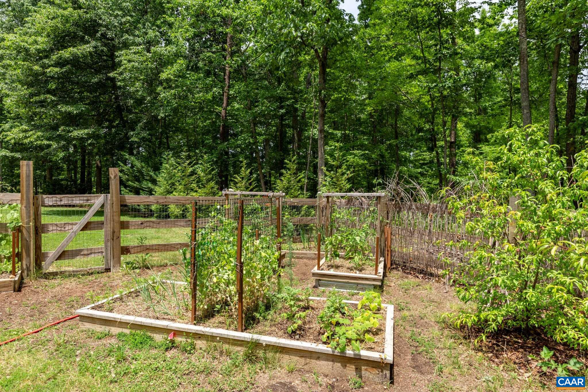 1356 Kents Mill Road Louisa, VA 23093 - Photo 16 of 74