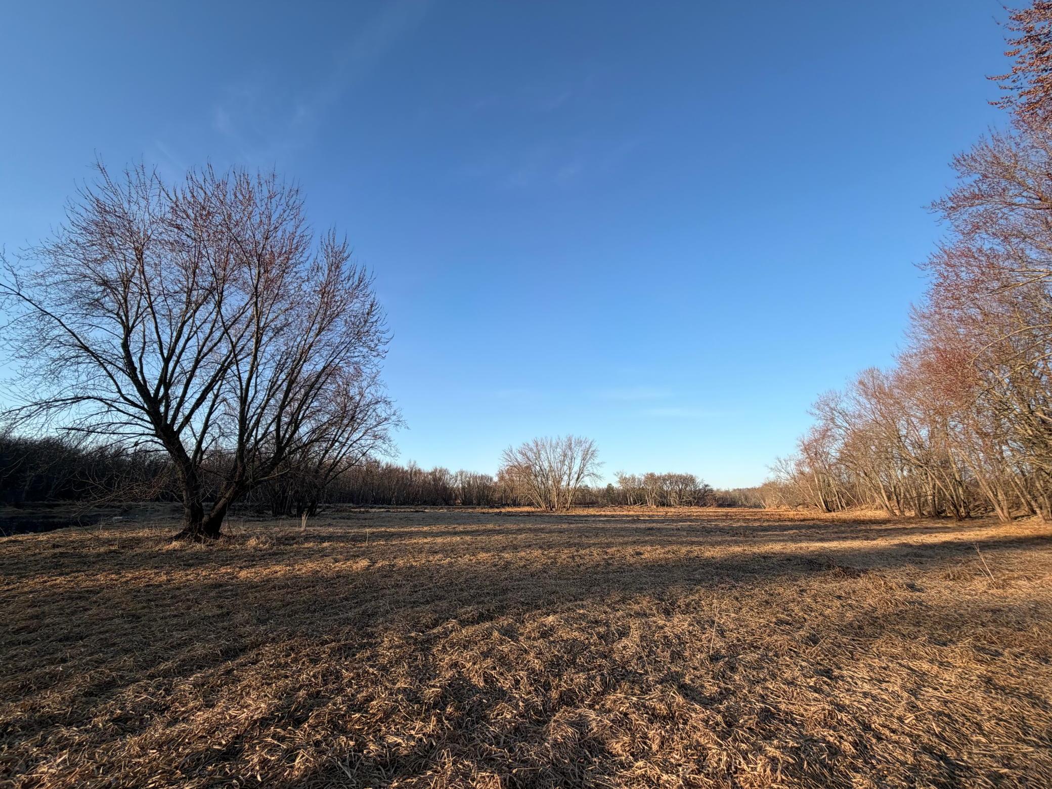 Tbd Riverview Place Merrifield, MN 56465 - Photo 20 of 39