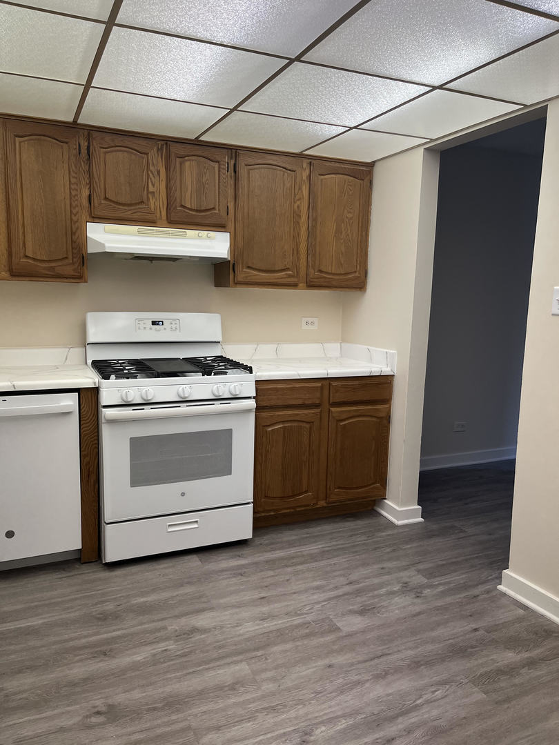 5515 Cromwell Lane, Unit M2 Oak Forest, IL 60452 - Photo 16 of 25 a kitchen with a stove and a sink