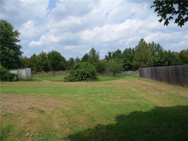 7520 Joe Rowlin Road Christiana, TN 37037 - Photo 16 of 18