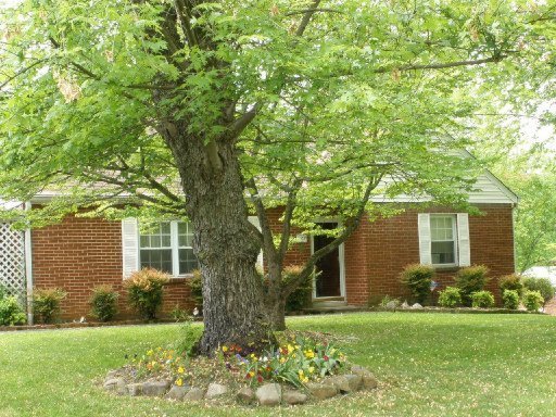 929 Patton Ferry Road Kingston, TN 37763 - Photo 22 of 26 Additional Photo
