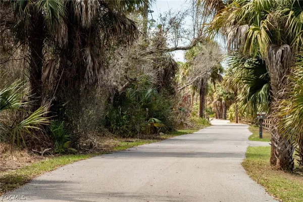 a street view with large trees